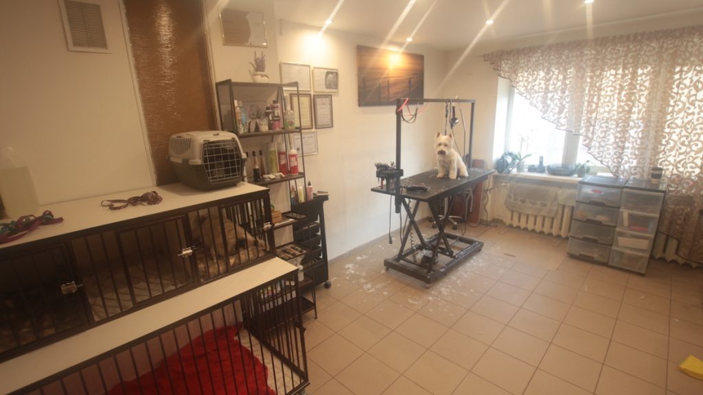 PARDUODAMAS VETERINARIJOS KLINIKOS VERSLAS KAUNE!