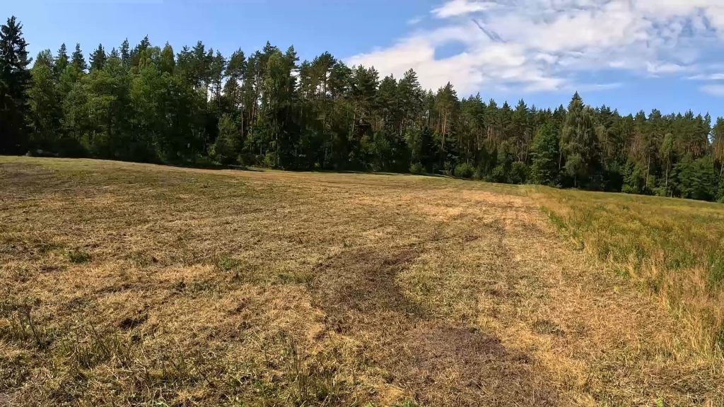 Ekologinis šilauogių ir smidrų ūkis