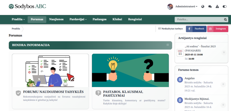 Parduodu internetinę svetainę (plius idėją)