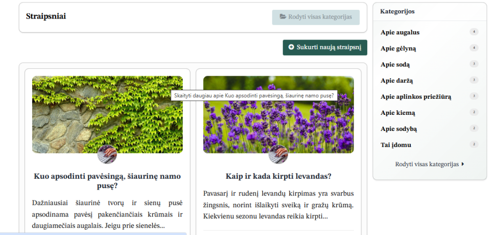 Parduodu internetinę svetainę (plius idėją)