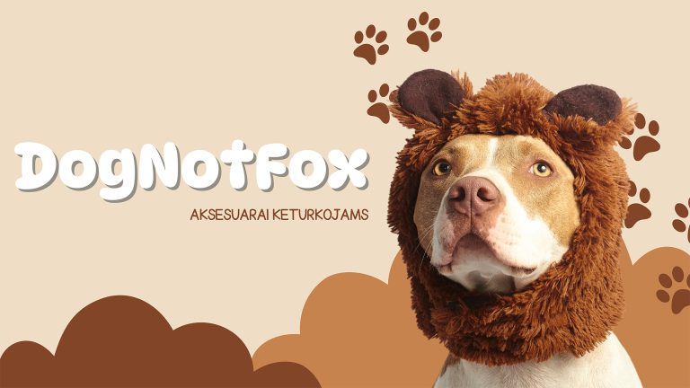 Personalizuotų aksesuarų šunims verslas – DogNotFox