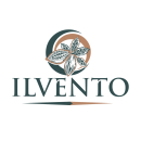 Parduodamas paruoštas nišinis el. prekybos verslas – ilvento.lt