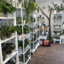 Veikiantis gėlių skyrius