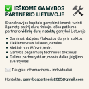Ieškome gamybos partnerio durų ir staktų gamybai Lietuvoje