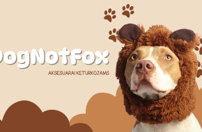 Personalizuotų aksesuarų šunims verslas – DogNotFox