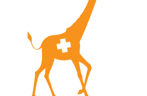 Šunų sterilizacija