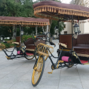 Elektrinis triratis – Rikša – rickshaw