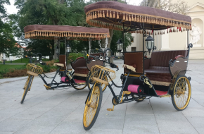 Elektrinis triratis – Rikša – rickshaw