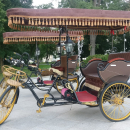 Elektrinis triratis – Rikša – rickshaw, Vilnius