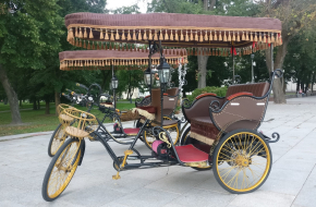 Elektrinis triratis – Rikša – rickshaw, Vilnius