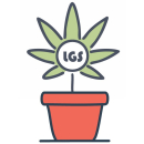 Parduodu kanapiu asociacija Ispanijoje, kurortiniame pajurio miestelyje