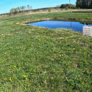 Ekologinis šilauogių ir smidrų ūkis